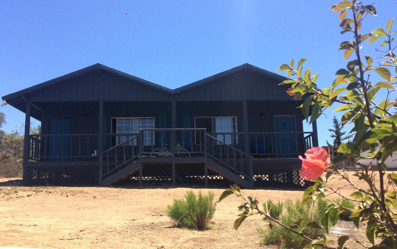 Bajo El Sol Del Valle Valle de Guadalupe Ngoại thất bức ảnh