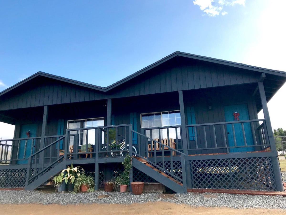 Bajo El Sol Del Valle Valle de Guadalupe Ngoại thất bức ảnh