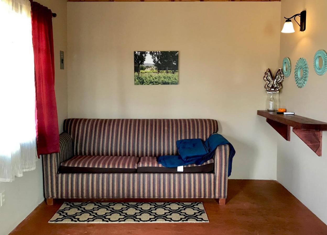 Bajo El Sol Del Valle Valle de Guadalupe Ngoại thất bức ảnh
