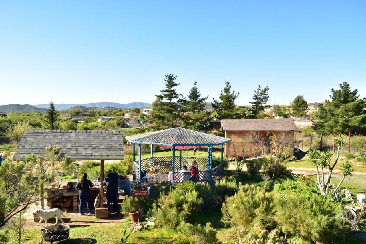 Bajo El Sol Del Valle Valle de Guadalupe Ngoại thất bức ảnh