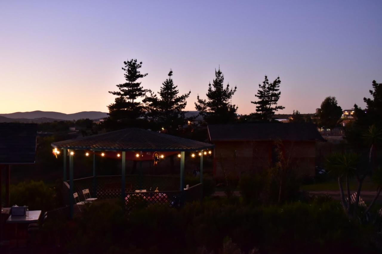 Bajo El Sol Del Valle Valle de Guadalupe Ngoại thất bức ảnh