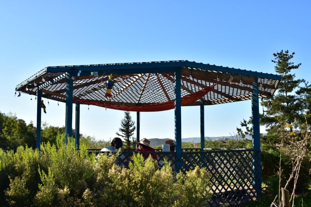 Bajo El Sol Del Valle Valle de Guadalupe Ngoại thất bức ảnh
