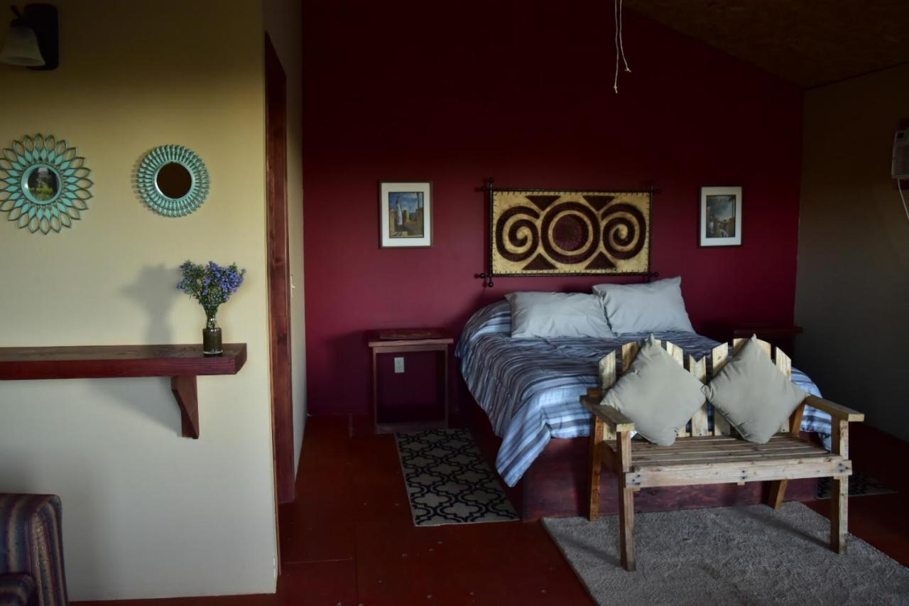 Bajo El Sol Del Valle Valle de Guadalupe Ngoại thất bức ảnh
