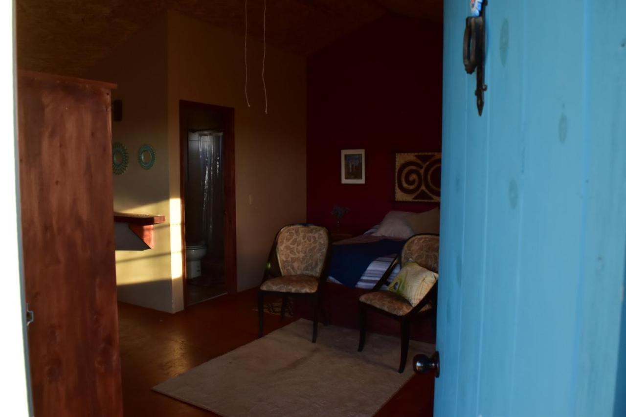 Bajo El Sol Del Valle Valle de Guadalupe Ngoại thất bức ảnh